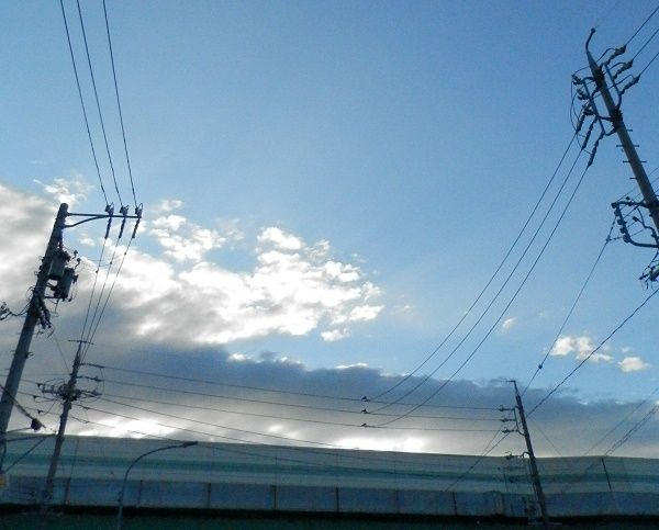 P9180278