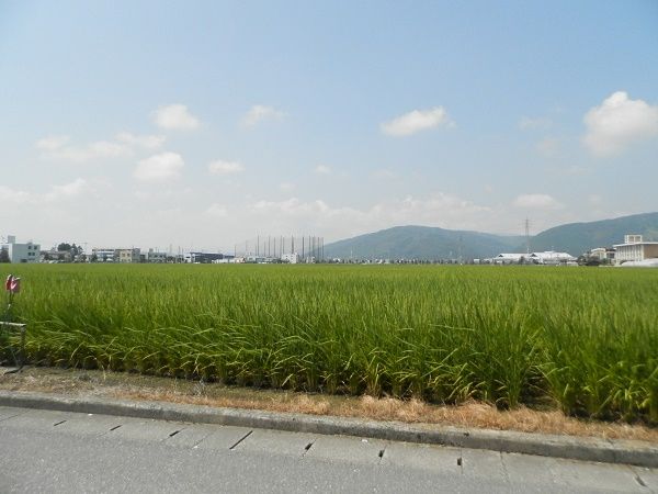 P8061010