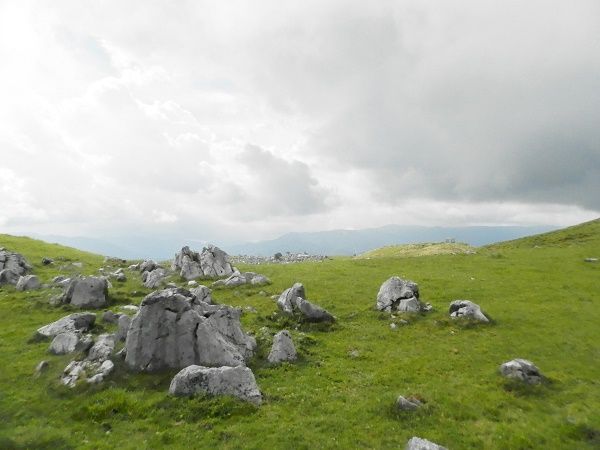P7300893