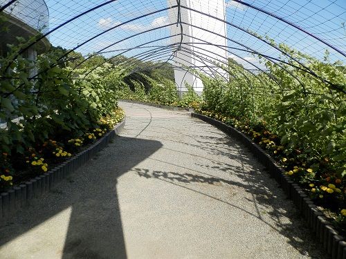 P7180443