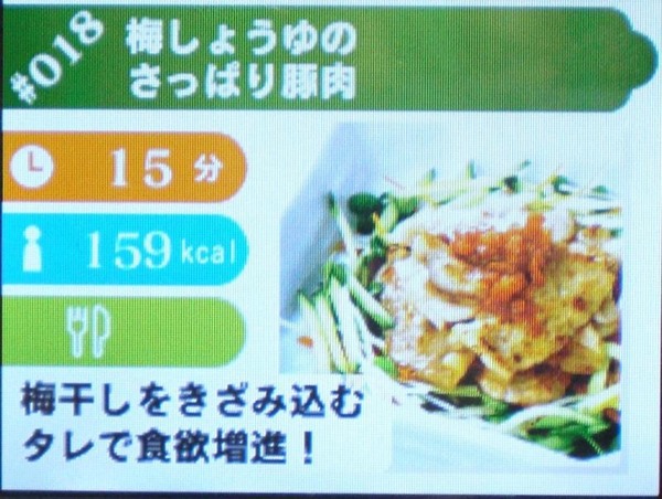 しゃべる!DSお料理ナビ【レビュー・評価】DSでお料理♪ しゃべる!DSお料理ナビ【レビュー・評価】DSでお料理♪