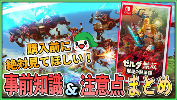 ゼルダ無双 厄災の黙示録 を購入する前に知っておきたい6つの事前知識 注意点 Kentworld For ゲームレビュー