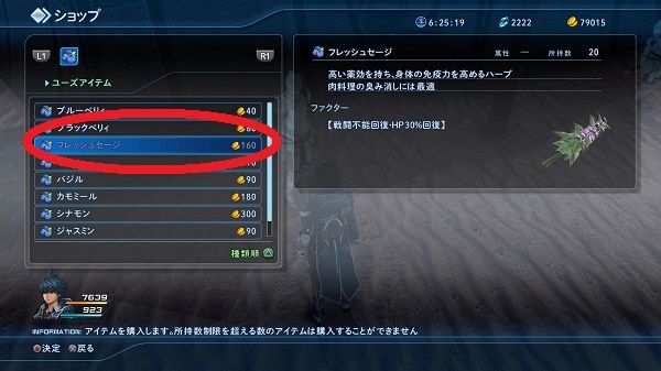 スターオーシャン5 -Integrity and Faithlessness-_20160406010601