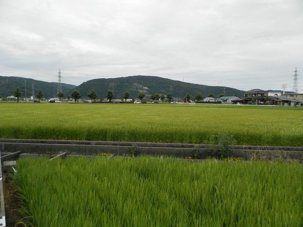 P8031350